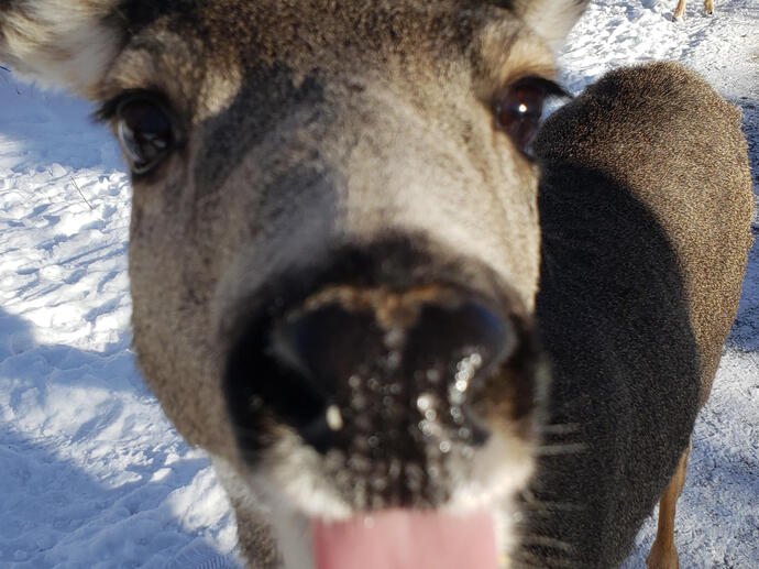 LESBIANS UNITE !!!!!!! (krista)